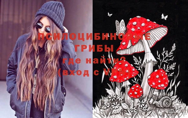 винт Няндома