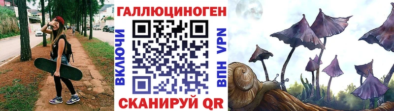 KRAKEN вход  Ардон  Псилоцибиновые грибы Cubensis 